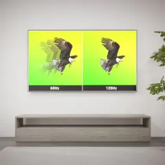 En TV visar en örn i flykt. Vänstra sidan visar 60Hz med suddiga rörelser, högra sidan visar 120Hz med skarpare bild. Uppdateringsfrekvensen på TV:n gör skillnad.