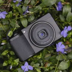En svart Ricoh GR III X ligger bland gröna blad och lila blommor.