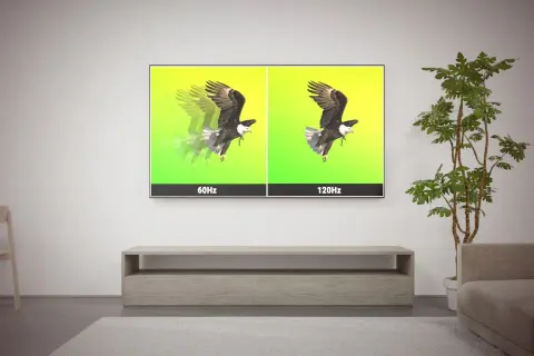 En TV visar en örn i flykt. Vänstra sidan visar 60Hz med suddiga rörelser, högra sidan visar 120Hz med skarpare bild. Uppdateringsfrekvensen på TV:n gör skillnad.