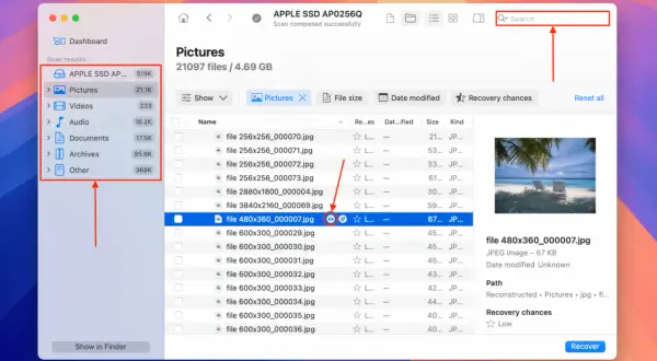 Programmet visar hur man kan återskapa filer från en hårddisk. En bildfil är markerad för återställning.