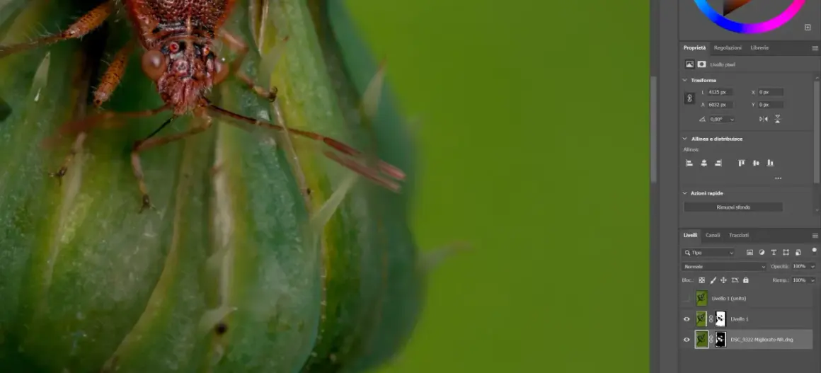 En närbild på en röd insekt med detaljerade ögon och ben, sittande på ett grönt, taggigt växtblad. Bilden visar effekten av helicon focus, där skärpan är perfekt över hela motivet.