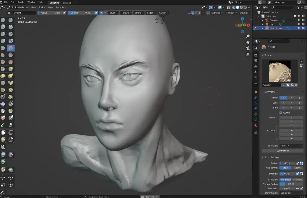 En ansiktsmodell i Blender, redo för en blender test.