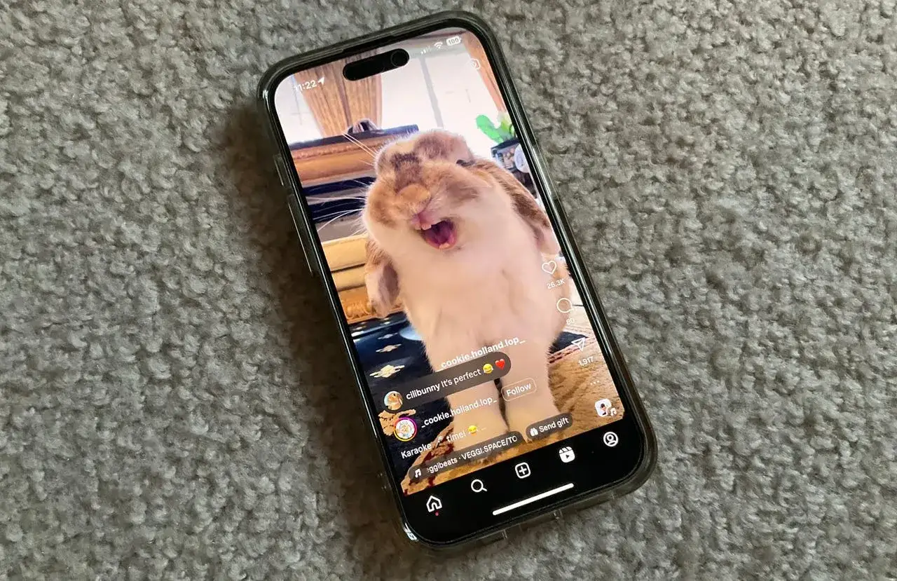 En mobiltelefon visar en s&ouml;t kanin som g&auml;spar. Detta &auml;r ett exempel p&aring; vad som kan betyda reels &ndash; korta, engagerande videoklipp.