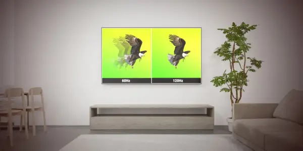 En TV visar en örn i flykt. Vänstra sidan visar 60Hz med suddiga rörelser, högra sidan visar 120Hz med skarpare bild. Uppdateringsfrekvensen på TV:n gör skillnad.