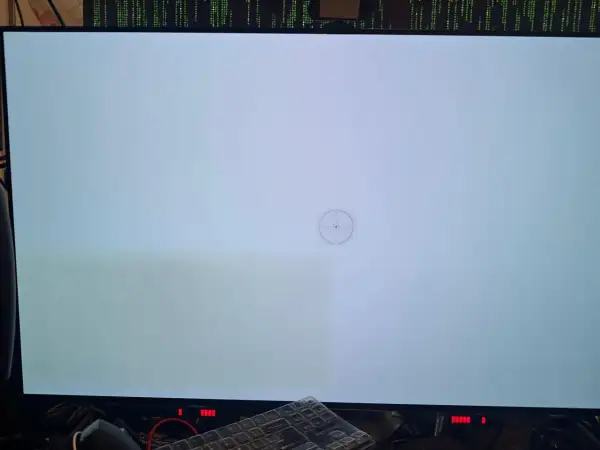 En ljusgrå skärm med en synlig grönaktig fläck till vänster, troligen ett tecken på burn-in på OLED-skärmen.